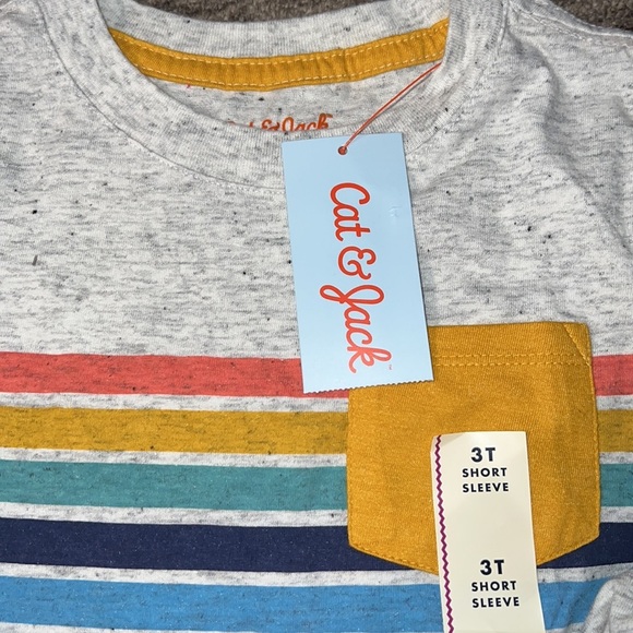 Cat & Jack Toddler Boys Size 3T Gray Rainbow Striped Pocket Short Sleeve T-Shirt - Picture 3 of 3